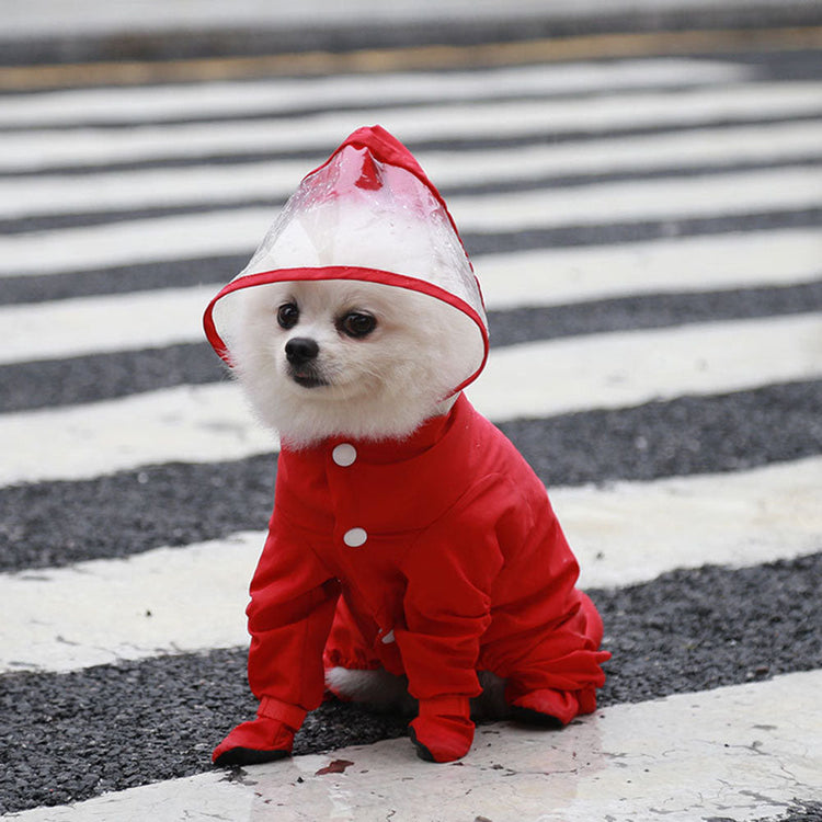 Dog Raincoat with Hood