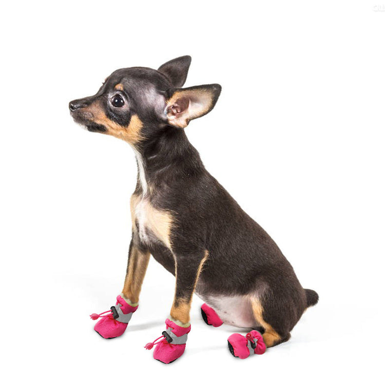 Small Dog Boots | Small Dog Winter Boots | Dog Boots for Small Dogs