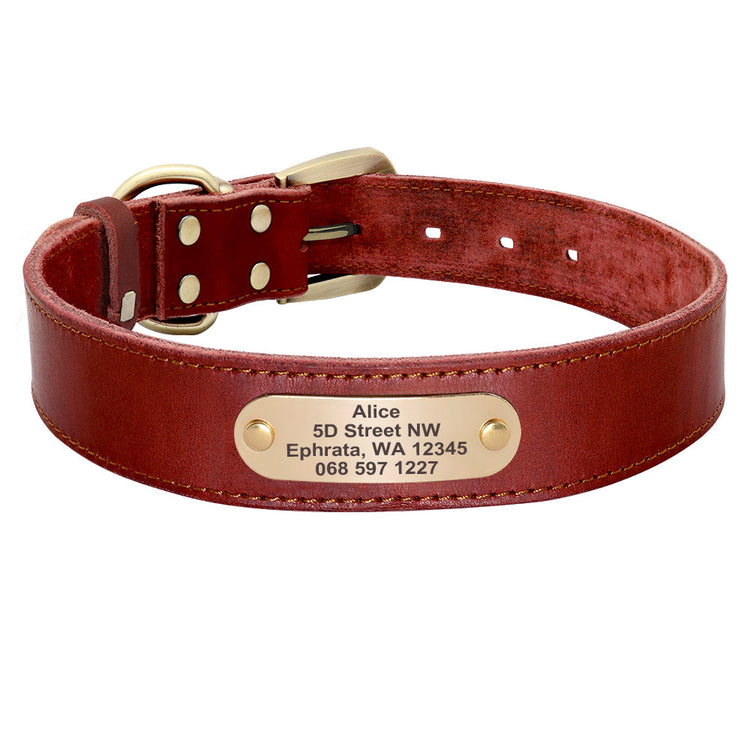 Beaufort Hunt Leather Dog Collar Leash Set