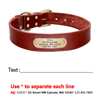 Beaufort Hunt Leather Dog Collar Leash Set