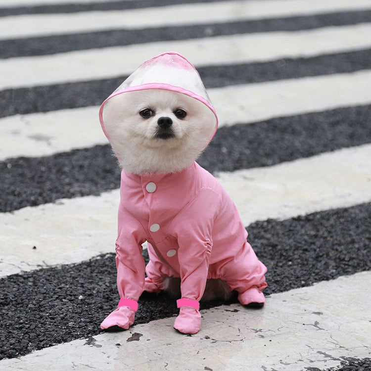 Dog Raincoat with Hood