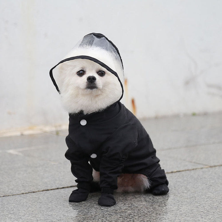 Dog Raincoat with Hood