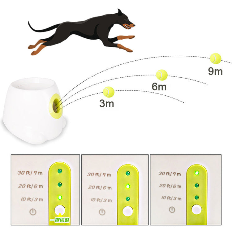 Automatic Tennis Ball Throwing Machine For Dog