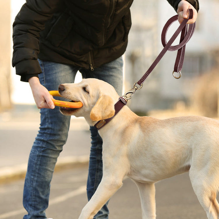 Beaufort Hunt Leather Dog Collar Leash Set