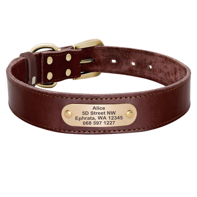 Beaufort Hunt Leather Dog Collar Leash Set