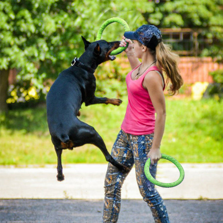 Dog Interactive Training Toy – Pull Ring