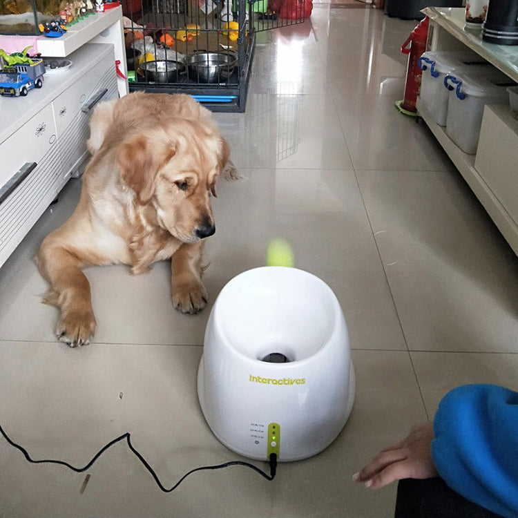 Automatic Tennis Ball Throwing Machine For Dog